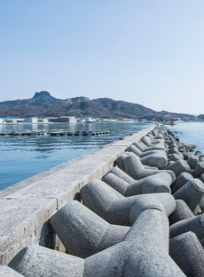 Analysis and Verification of an Optimal Design Solution for Rubble Mound Breakwaters Considering Interactions of Failure Modes