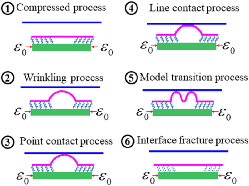 Lateral constrained wrinkling of the film with partial contact