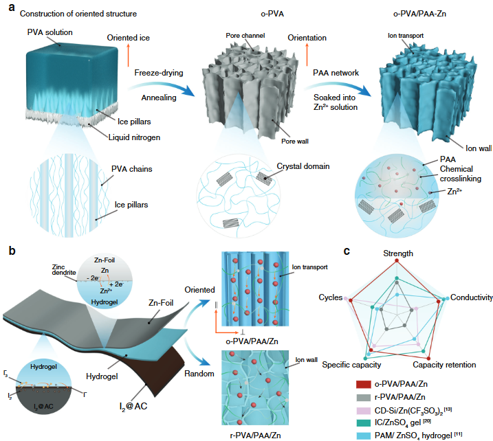 Hierarchically-structured and mechanically-robust hydrogel electrolytes for flexible zinc-iodine batteries