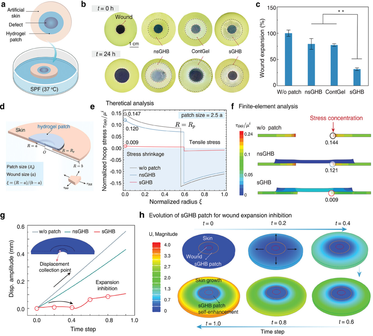 Self-growing hydrogel bioadhesives for chronic wound management
