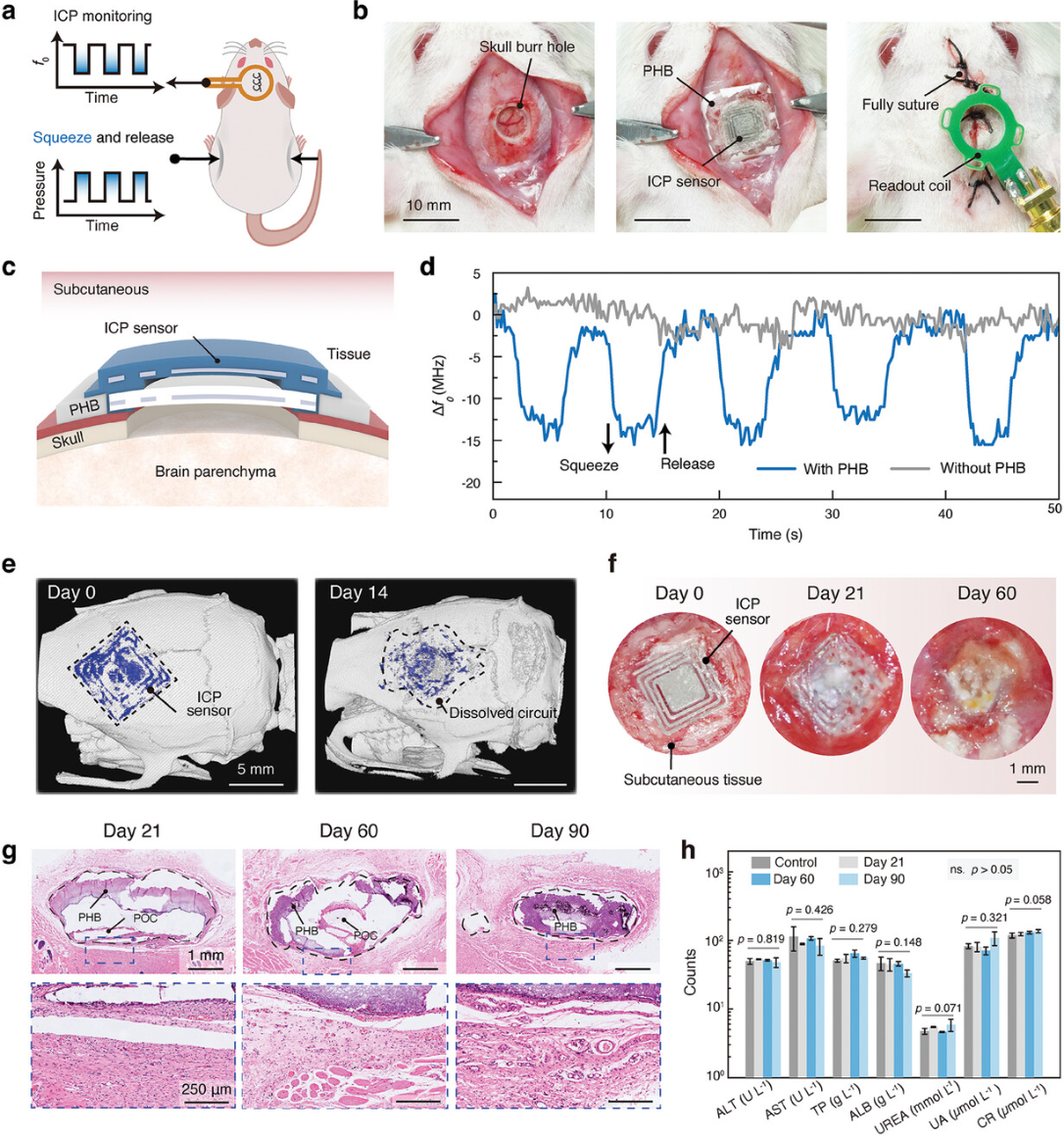 Wireless bioelectronics for in vivo pressure monitoring with mechanically-compliant hydrogel biointerfaces