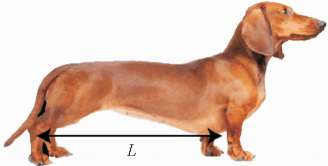 Dynamic instability in curved beams