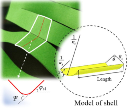 Buckling of ultrastretchable kirigami metastructures for mechanical programmability and energy harvesting