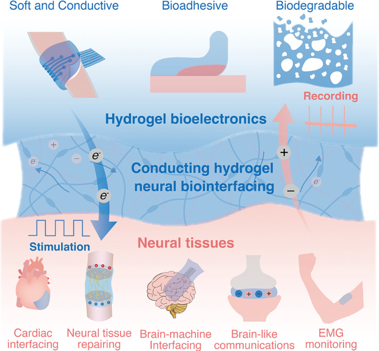 Conducting hydrogel-based neural biointerfacing technologies