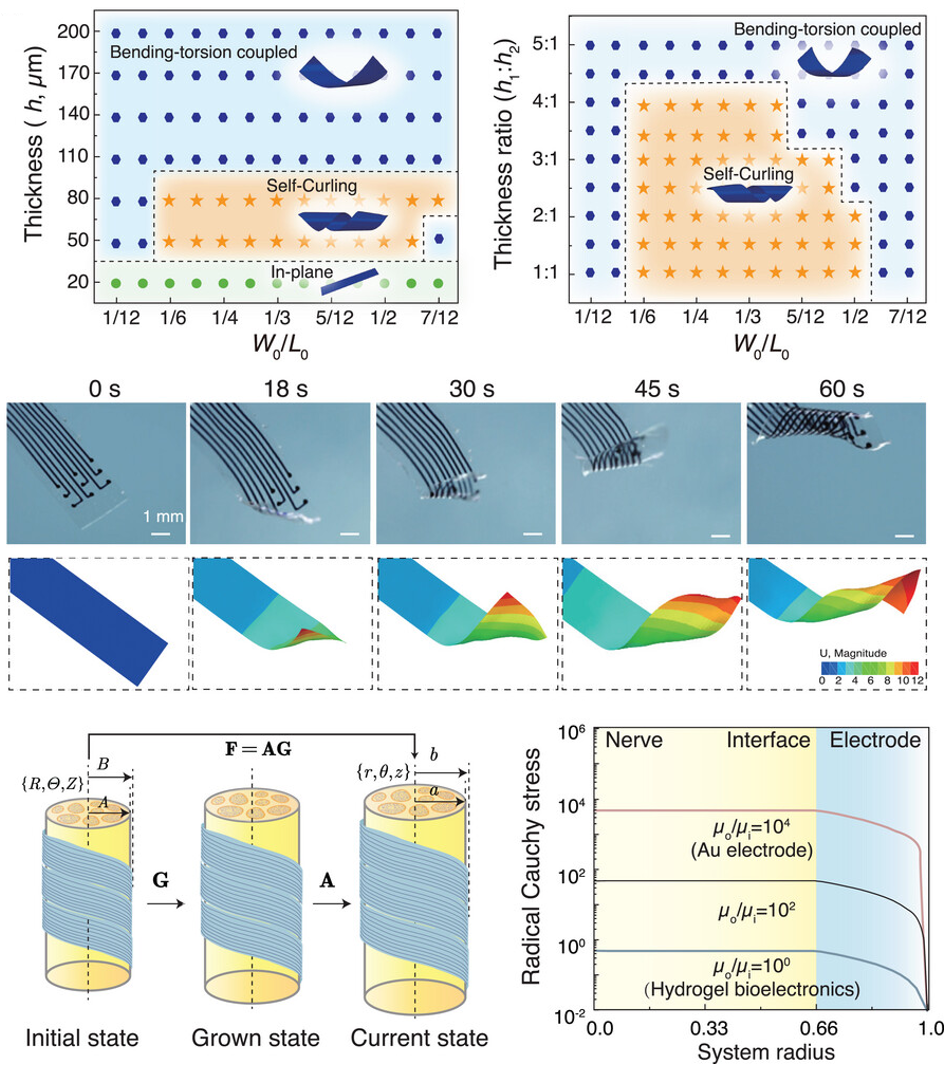 Mechanically Compliant and Impedance Matching Hydrogel Bioelectronics for Low-Voltage Peripheral Neuromodulation