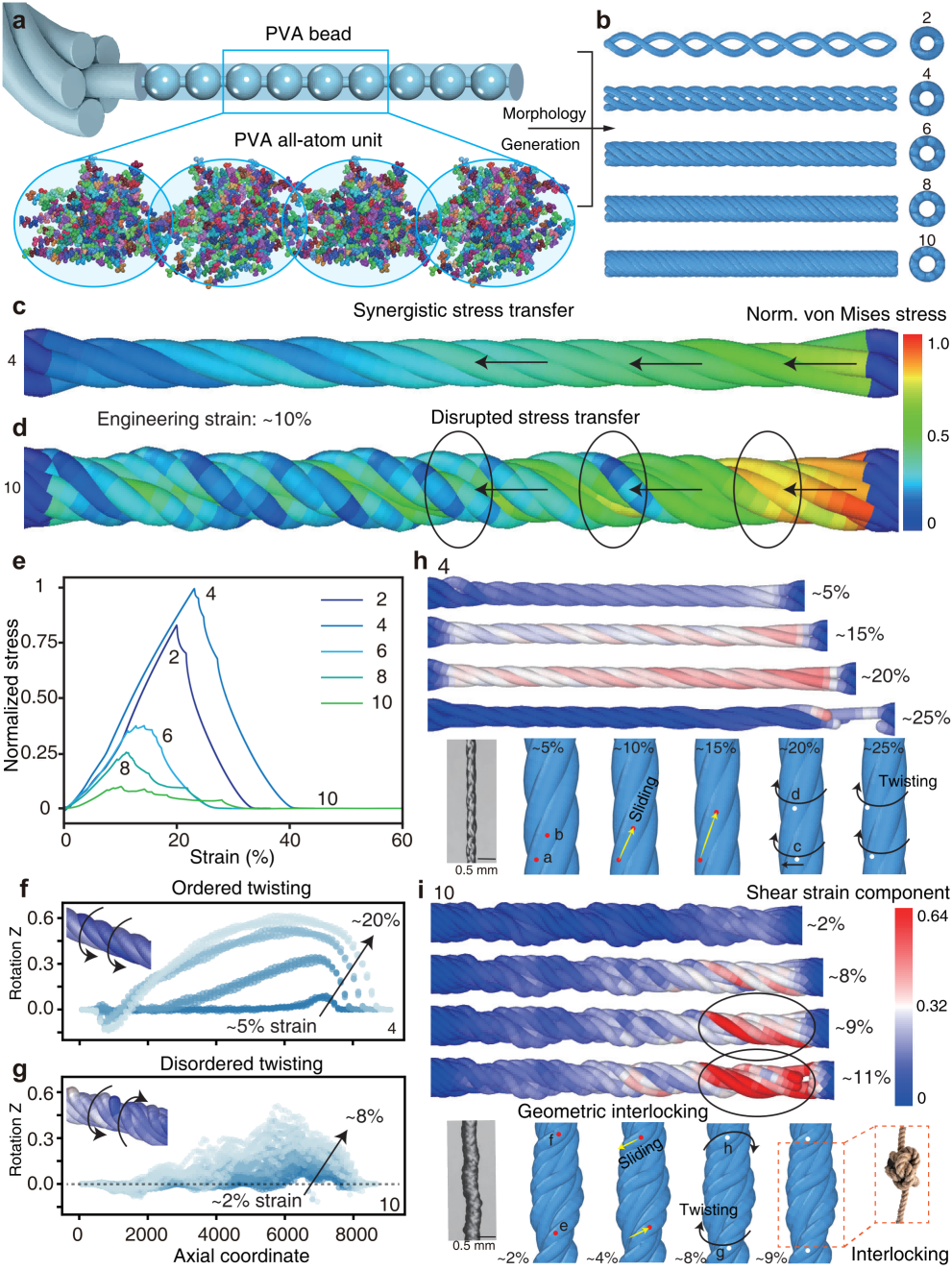 Fatigue Resistant Hydrogels Engineered With Twisting Hierarchical Structures
